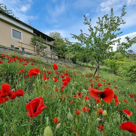 Casa Le Vignole - Aosta Villa Buitenkant foto