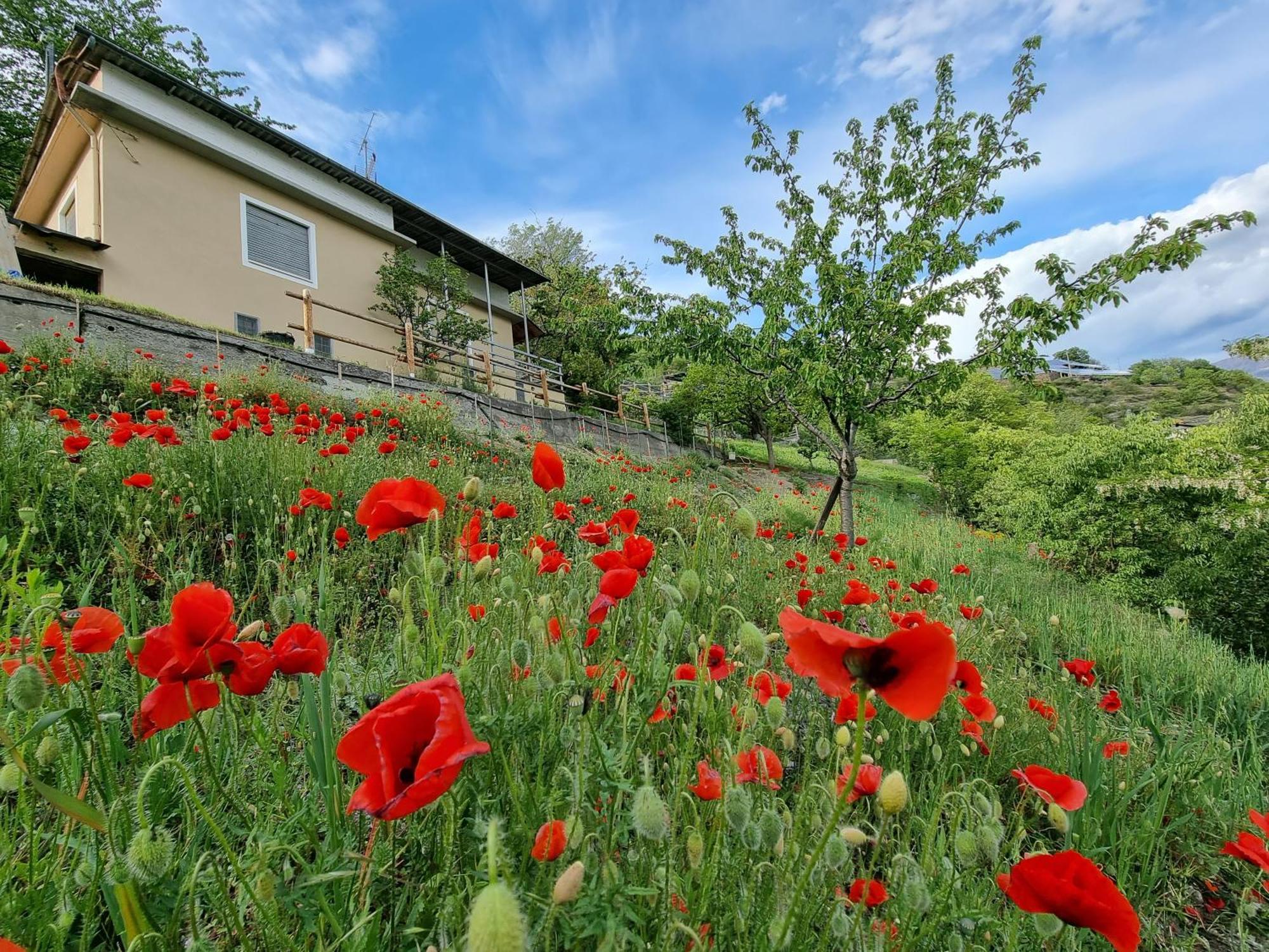 Casa Le Vignole - Aosta Villa Buitenkant foto